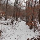 보현산 등산로 이미지