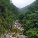 무릉도원 이미지