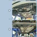 왕짱애견유치원 이미지