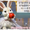 공주청과 이미지