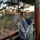 [템플스테이] 일상에 지친 몸과 마음을 보살피는 금선사 템플스테이