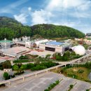 대덕대로(유성-5) 이미지