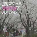 안양교도소 Daum카페