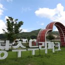 레드푸드 조각원 한국일보