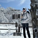 모데미풀 화장실 | [산행 후기] 알레 버스로 소백산 등산(어의곡 ~ 천동 코스)_240301