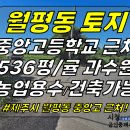 토지2-196[ 제주시 월평동 중앙고등학교 뒤편 토지 매매(536평/콘크리트 도로접/감귤 농사 중/전/자연녹지) ]#중앙고등학교토지, 이미지