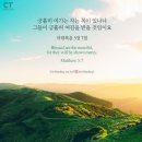 오늘제주 이미지