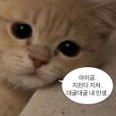 하이스테이션