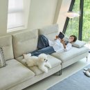 스위브 카카오 검색결과