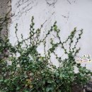 남원읍 공영주차장 이미지