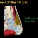 pre-Achilles fat pad(Kager's fat pad)의 역할과 기능 이미지