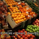 SSG신세계투어 이미지