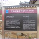 산수유축제장 이미지