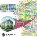 영토프라자 Daum카페