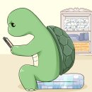 이브자리코디센 이미지