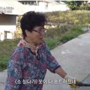 두메농장 이미지