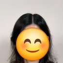 서울 강남구 역삼동 탈모관리 어반던트 강남본점 위치 가격 후기