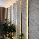 글로비지테라안티에이징의원 이미지