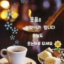 크로앙스 Daum카페