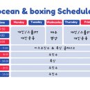 순천 오션 주짓수&복싱 이미지