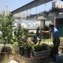 중2동 주민센터 이미지