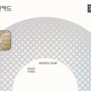 가온글로벌 매일경제