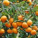 우도기행 이미지