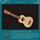오피오