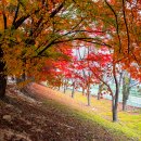 환경생태공원 이미지