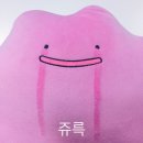 스튜디오루트7