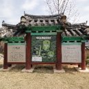 가야3리 Daum카페