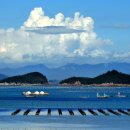 진도대교휴게소 이미지