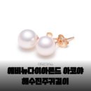 아이에비뉴 롯데몰 진주점 | 고급스러움의 정석 에비뉴다이아몬드 아코야 해수진주 귀걸이 AAA급 후기