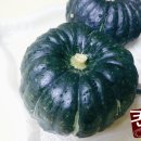 뿌리농장 이미지