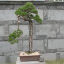 제주아트랜드 이미지