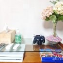 갈기산 포레스트 힐 이미지