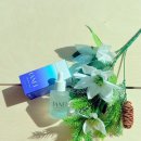이아넬 네이버블로그
