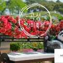 장미마을 | 5월 곡성 기차마을장미축제 후기입니다 ^^
