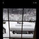 라스텔라편백숲 이미지