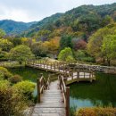 구 정덕분교(덕우리) 이미지