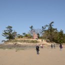 증도농장 이미지