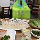 록록타르트