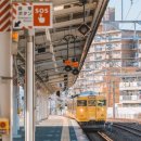 낙원세탁소 이미지