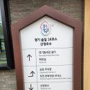 산정레져 | 포천 산정호수 둘레길 후기, 사계절 어울리는 호수 산책 코스