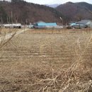 땅벗 공인중개사사무소 이미지