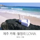 월정리로와 | [제주도여행] 제주 바다가 바로 보이는 카페 '월정리로와' 솔직후기