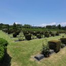 대연1동행정복지센터 이미지