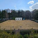 부산수지 이미지