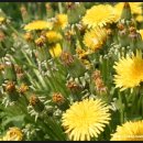 새실농장 이미지