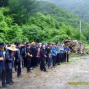 지리산산삼산야초 이미지